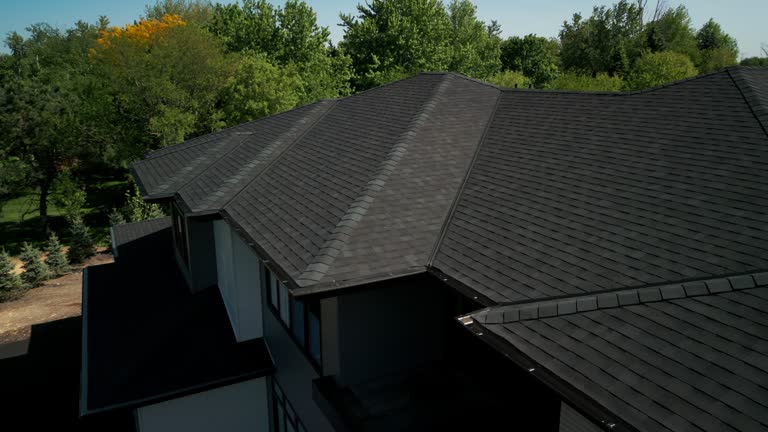 Best Roof Ventilation Installation  in Kalida, OH